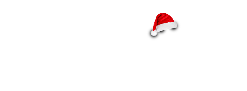 The Audio Store