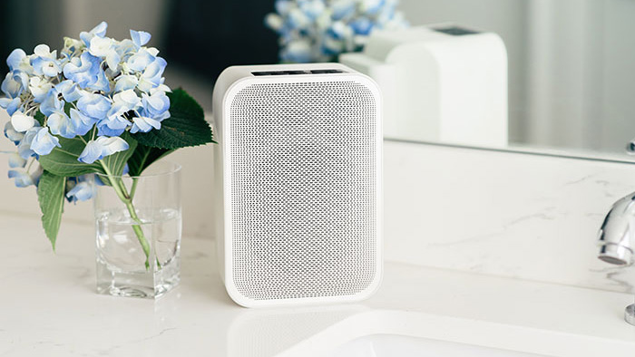 bluesound flex speaker