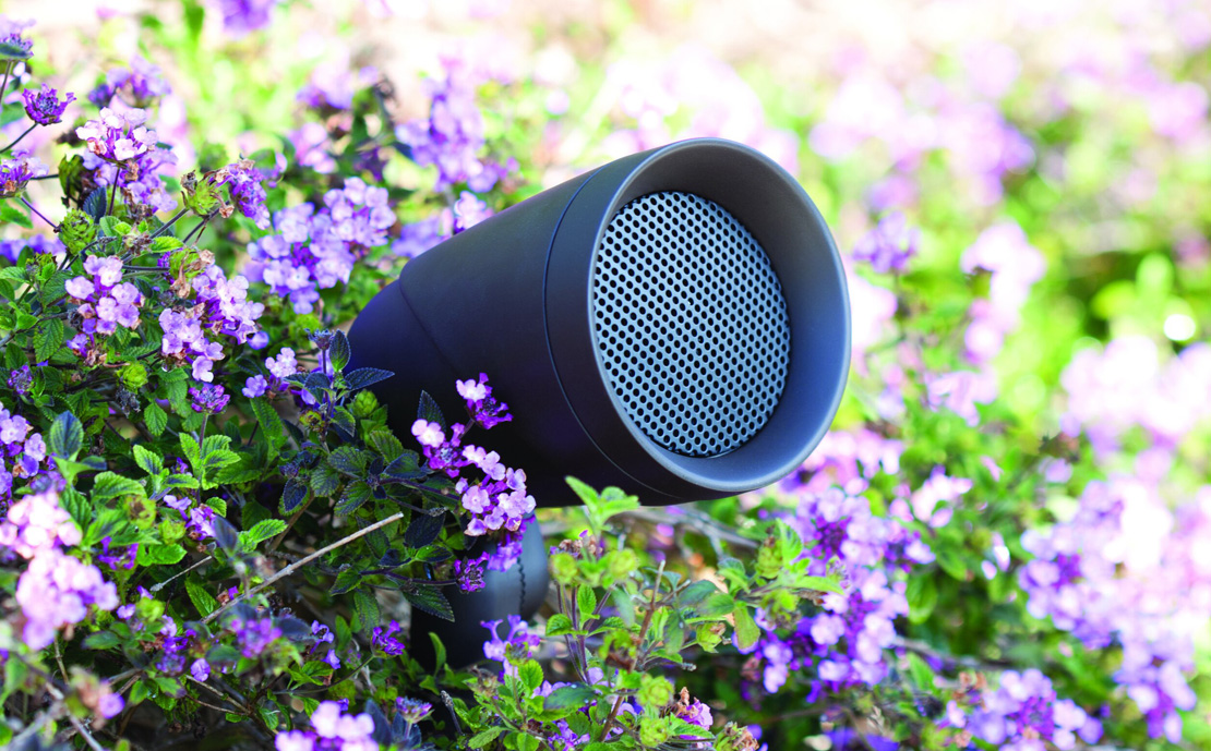 paradigm outdoor speaker